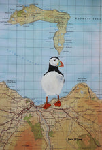 Load image into Gallery viewer, Rathlin Island Puffin
